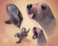Various redraws of the semi-viral sea lion from social media.